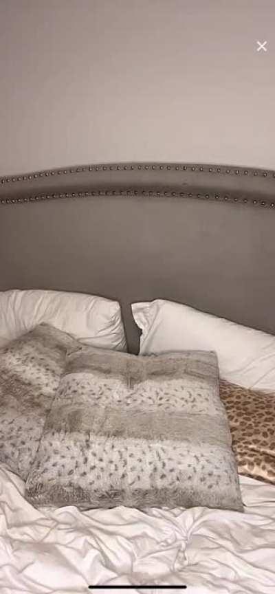 This didnt post the first time