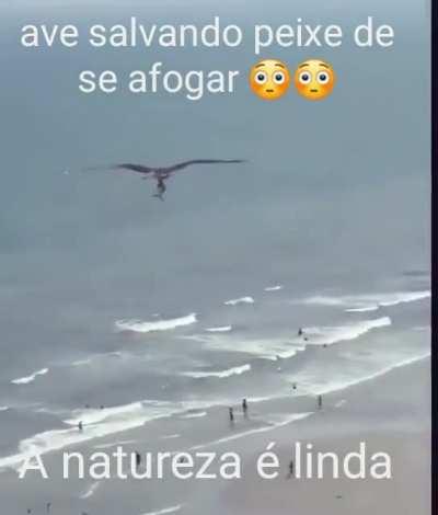 Deus não nos abandonou 😭