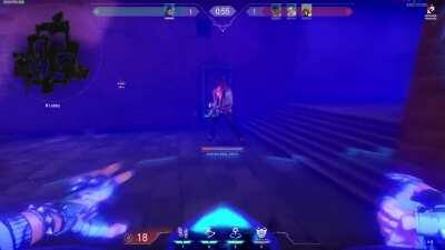 The most intense standoff I ever had, way too funny not to post it here