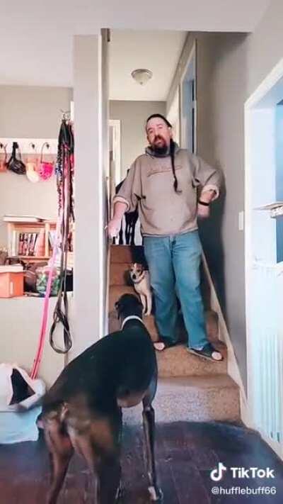 Greyhound loses mind over pair of pants