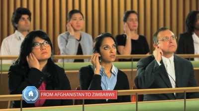 The United Nations in a Nutshell