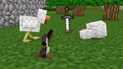 Libera a rinha de galo