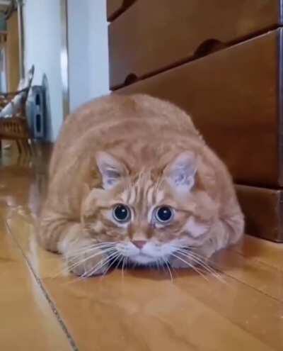 Big Boi still stealthy tho