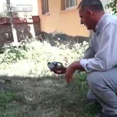 Ensinando o pássaro a voar: um pouco de otimismo num momento tão difícil