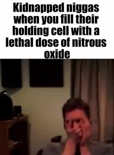 These clown mfs laugh at anything fr 💀