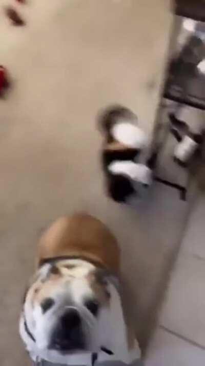 Врёшь, не возьмёшь