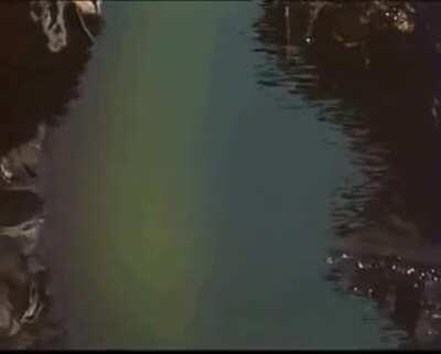 Smeagol becomes Gollum, soviet version