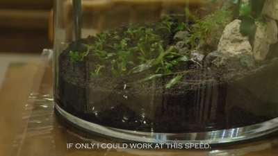 How I DIY a $10 aquarium filter into a waterfall nano aquascape for my betta fish, Jade Dadi.