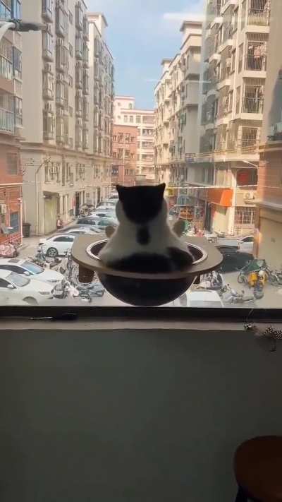 They are in my town now