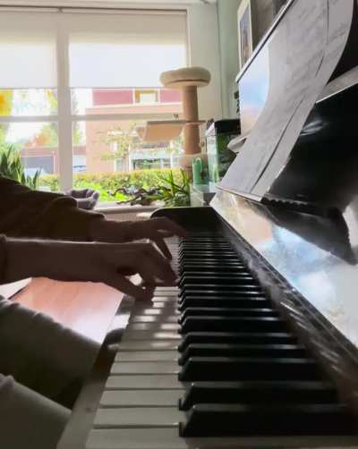 An honest depiction of 2.5 years of piano