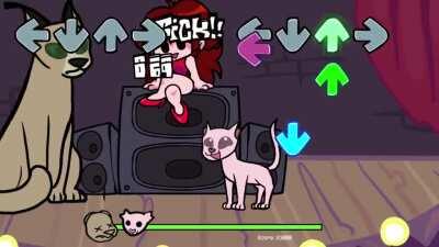 funny cat rapping????