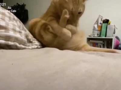 Get back here, you tail!