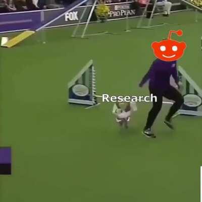 20th Shrek Anniversary Special: Thanks for everything, Reddit!