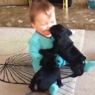 kId beING MERCIlessLy AttACKed By DOGs WHILE siCK HooMan FIlMs