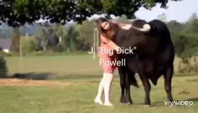 My boy Jerome and WSB Bulls these days