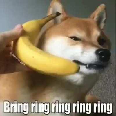 Posting stuff until the sub reaches 2k members day 34