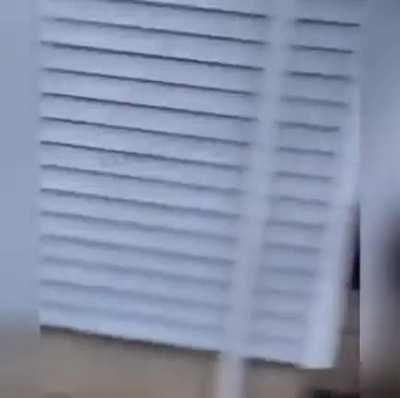 Let me just spray a car full of kids with pepper spray...