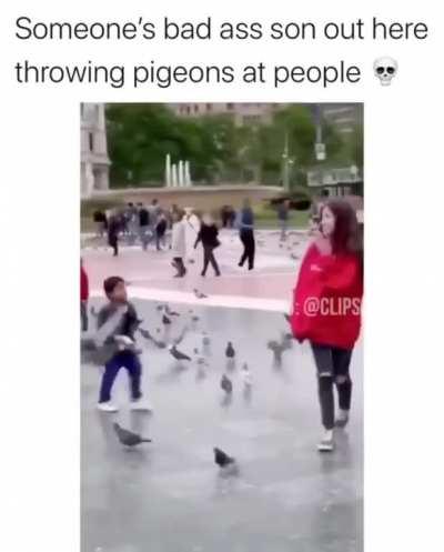 Ща воробьём получишь у меня!