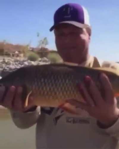 Гринпис.. Начало.