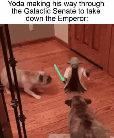 No survivors, there will be