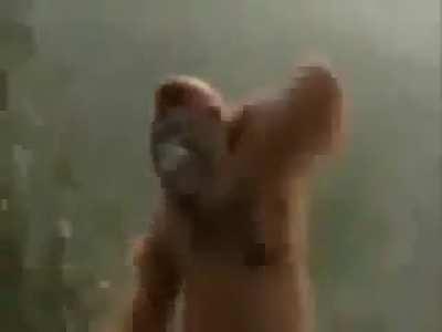 De vuelta a un clásico