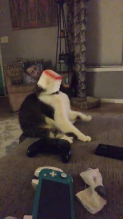 Suddenly stopped working