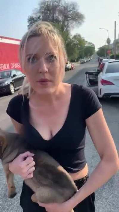 Mental illness... hope the dog is safe