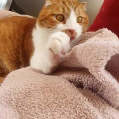 Mooi is telling me to leave him alone.