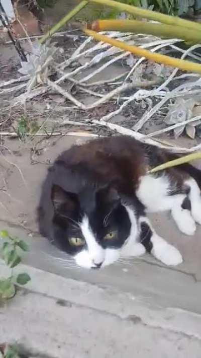 My 18 year old, deaf baby girl when she finally sees me coming over