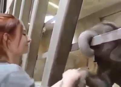 I love how you can see the level of excitement just by how open the baby's eyes are