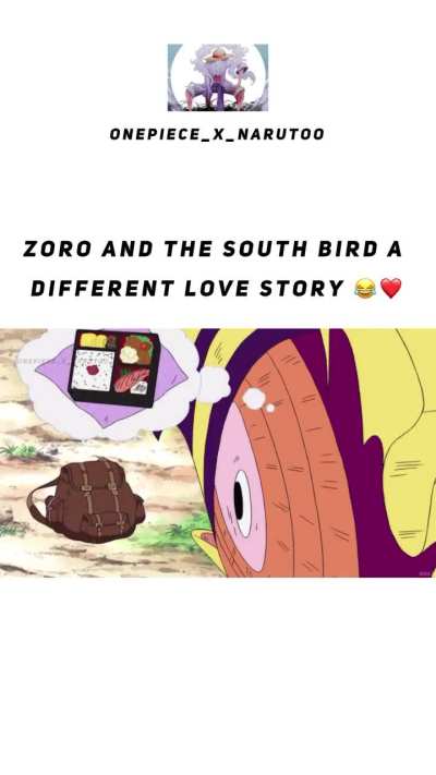 Zoro gets lost again😂