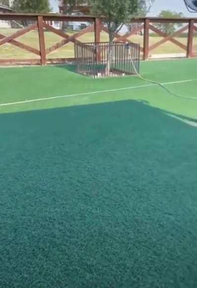 The Introverts corner