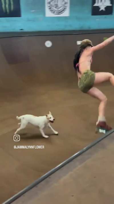 Lil’ doggie wants to play!