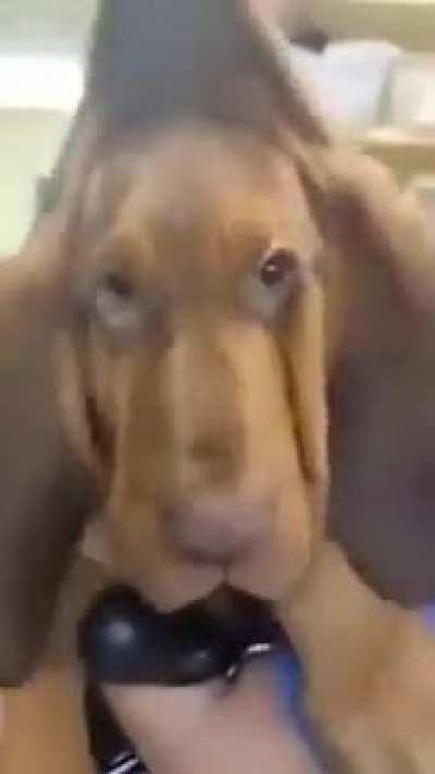 Who turned the lights on?