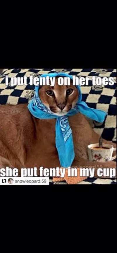 Floppa does not exist