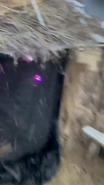 Meanwhile, somewhere in the world