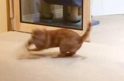 I finally got a video of his peak derpitude!