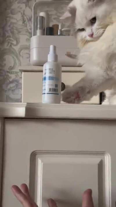 I won’t throw it if you catch it