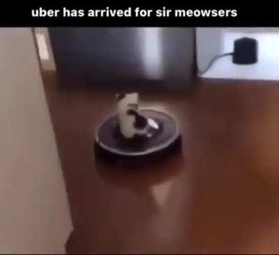 Gato Uber