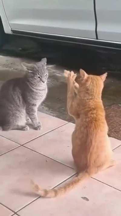 Did I get your attention?