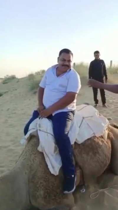 to ride a camel 
