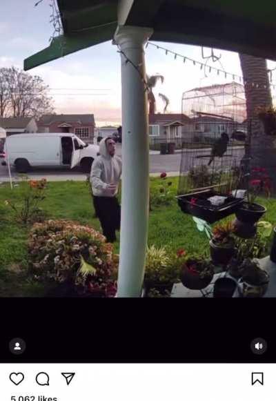 Stealing someone parrot off their front porch 