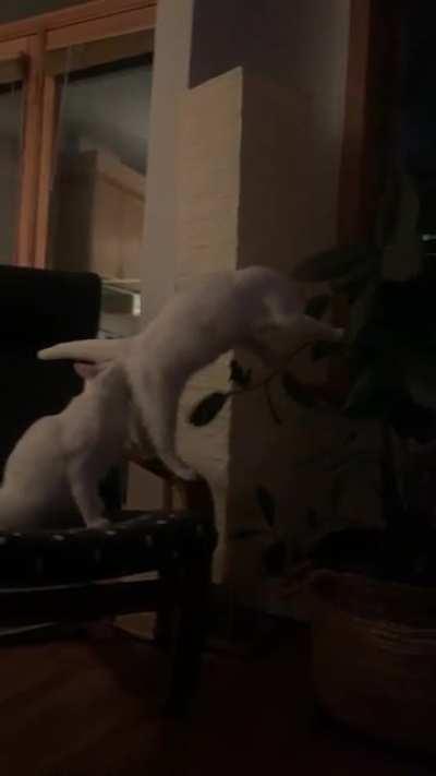 when it’s time to strike