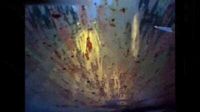 This is no place for a moose, bitch