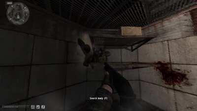 It was extra loud at the ecologists today so I decided to check out the commotion.