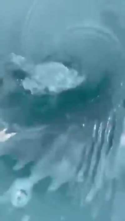 One hour here is seven years on Earth