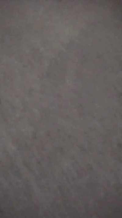 Caught a spider and brought to my wife