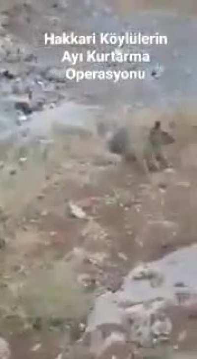 Bear rescue in Turkey.