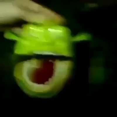 The screams of the damned