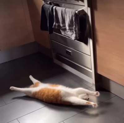 Stretching The Brain Cell